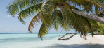 Ferien Malediven auf Biyadhoo Island Resort 